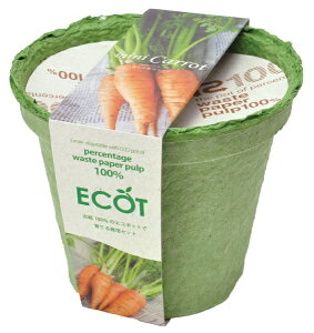 V|bSEISHIN GD-41102 GRbg M ɂ񂶂