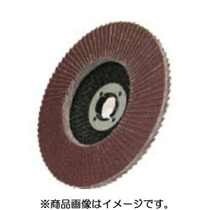 �����bYANASE ���i�Z �X�p�[�N�f�B�X�N 10P ���i�Z SPA10-10