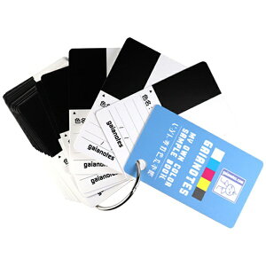 KCAm[cbGaianotes G-21 ԂpF{