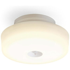 yGg[ōőSz|CgҌb11/5z IRIS OHYAMAbACXI[} ^V[OCg 1200lmdFlt MCL12L-SK