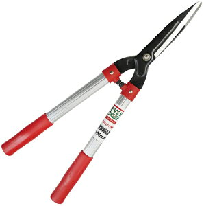 ibDAISHIN EVER GREEN yʊ EVER GREEN