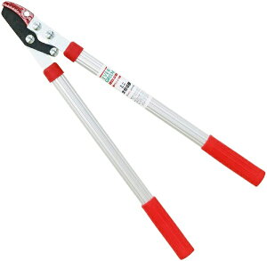 ibDAISHIN DAISHIN A~~j} DAISHIN