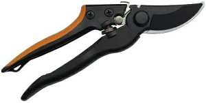 ibDAISHIN DAISHIN OX  DAISHIN