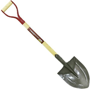 ibDAISHIN DAISHIN ؕXRbv ⋭at y DAISHIN