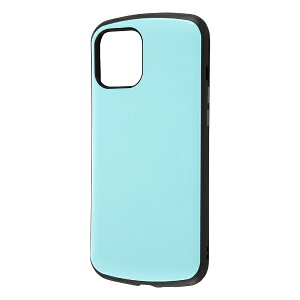 ���C�A�E�g�brayout iPhone 12 Pro Max 6.7�C���`�Ή��ϏՌ� ProCa �u���[ RT-P28AC3/PA