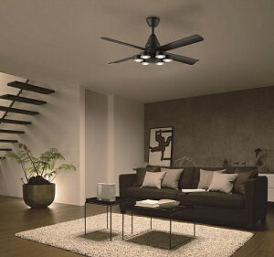 d@bDAIKO DC[^[V[Ot@ ASL-615 [Rt /8 /dF]ynewlife_campaign_gz