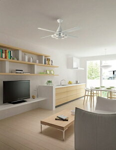 d@bDAIKO DC[^[V[Ot@ ASL-616 [10 /F]ynewlife_campaign_gz