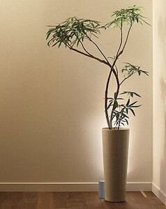 yGg[ōőSz|CgҌb12/11܂Łz d@bDAIKO tAX^hCg DXL-81408C [LED /dF]