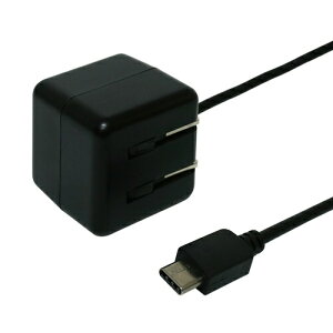 iJoVbNakabayashi TypeC ACA_v^ 2.4A 2m ubN IPA-CC20A/BK