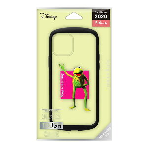 PGA�b�s�[�W�[�G�[ iPhone 12 mini 5.4�C���`�Ή� �K���X�^�t�P�[�X �J�[�~�b�g PG-DGT20F06KER