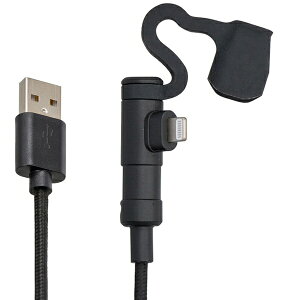 fCgibDAYTONA 15610 [dP[u 20cm USB Type-A & CgjO iPhoneΉ LRlN^[