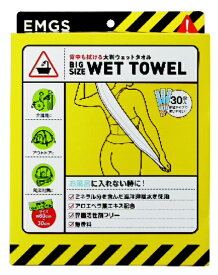 コジット｜COGIT 背中も拭ける大判ウェットタオル