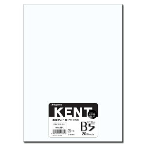 剮XbNAGATOYA kev^lKENT Pg 0.23mm [B5 /20] i-B301 zCg