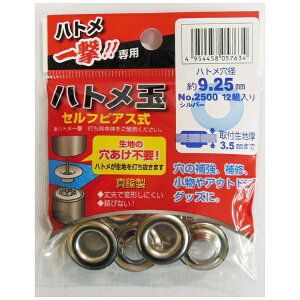 �O���R�[�|���[�V�����bSANKYO CORPORATION �ꌂ�p #606913 2500 P-SSL�n�g���ʋ�9.25
