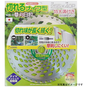 �O���R�[�|���[�V�����bSANKYO CORPORATION �������a �؂��i�C�t�^ 230x36P #004077