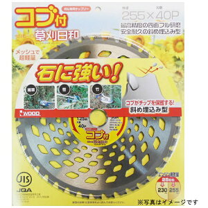 �O���R�[�|���[�V�����bSANKYO CORPORATION �������a �R�u�t 230x36P #004075