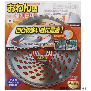 �O���R�[�|���[�V�����bSANKYO CORPORATION �������a �����^ 230x36P #004079