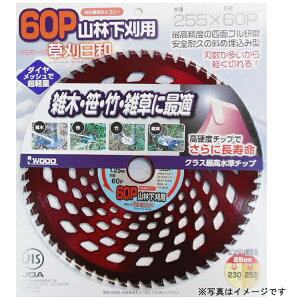 �O���R�[�|���[�V�����bSANKYO CORPORATION �������a �R�щ��� 230x54P #004073