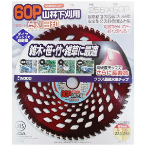 �O���R�[�|���[�V�����bSANKYO CORPORATION �������a �R�щ��� 255x60P #004074