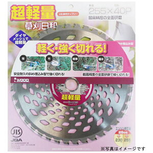 �O���R�[�|���[�V�����bSANKYO CORPORATION �������a ���y�� 230x36P #004071
