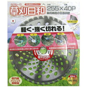 �O���R�[�|���[�V�����bSANKYO CORPORATION �������a 255X40P #004009