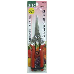 OR[|[VbSANKYO CORPORATION SITA ̉ʁE؂͂ A911 #905011