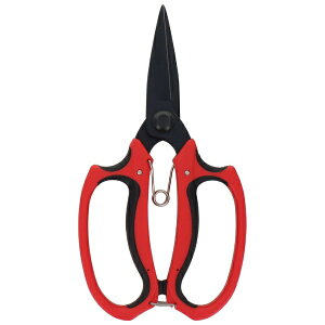 OR[|[VbSANKYO CORPORATION SITA tbfR[eBOA A921 #905021