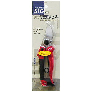 �O���R�[�|���[�V�����bSANKYO CORPORATION SIG ������ G025 #108125