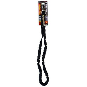 �O���R�[�|���[�V�����bSANKYO CORPORATION DT-ST-08BK EX�����O�A���[���R�[�h3K #315708