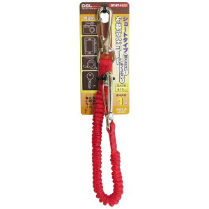 �O���R�[�|���[�V�����bSANKYO CORPORATION DT #315635 DT-ST-11RD �z���S�R�[�h�V���[�g