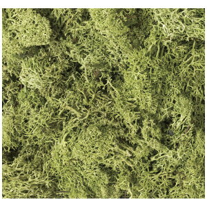 KATObJg[ yNQ[Wz24-332 VRfރvc CgO[