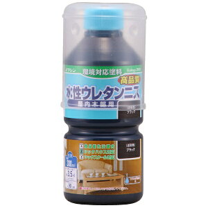Washin PaintbaMyCg E^jX ubN 300ml