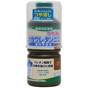 Washin PaintbaMyCg E^jX `[N 300ml