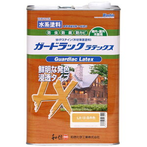 Washin PaintbaMyCg K[hbNebNX ؐF 3.5kg