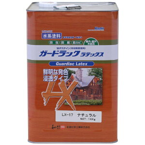 Washin PaintbaMyCg K[hbNebNX i` 14kg