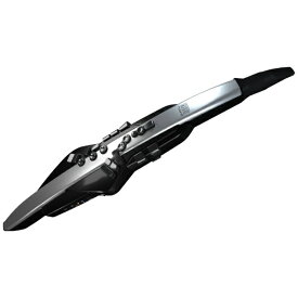 【エントリーで最大全額ポイント還元｜7/18迄】 Roland｜ローランド エアロフォン Aerophone Pro AE-30