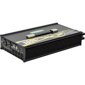 HƁbNICHIDO NE-INV1000-1M gCo[^iDC12/24V  AC100Vj