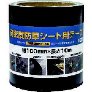 CmxbNXbinnovex Dio@xhV[gpe[v 253307