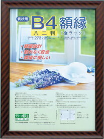 ナカバヤシ｜Nakabayashi 樹脂製賞状額 金ラック 賞状八二判