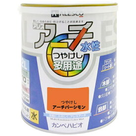 カンペハピオ｜Kanpe Hapio アレスアーチ アーチパーシモン 2L