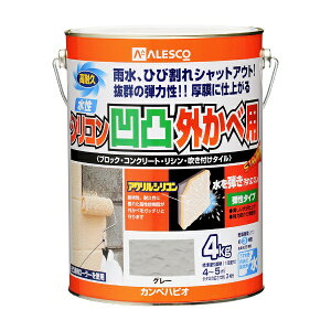 JynsIbKanpe Hapio VRʊOǗp O[ 4K