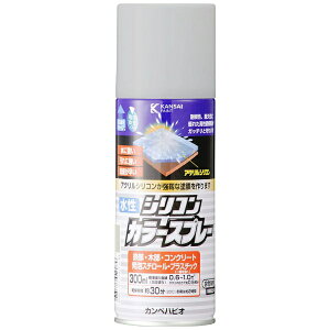 JynsIbKanpe Hapio VRJ[Xv[ Vo[ 300ML