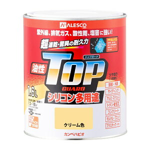 JynsIbKanpe Hapio gbvK[h N[F 1.6L