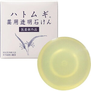 [bYUZE [ ngMp΂ 90g