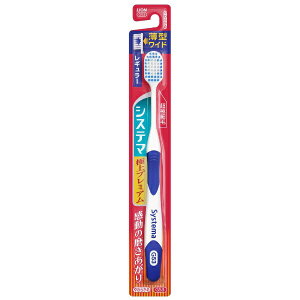 LIONbCI VXe}ɏv~A VXe}nuV ɏv~A M[ 炩