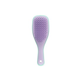 TANGLE TEEZER｜タングルティーザー タングルティーザー ザ・アルティメットディタングラー ミニ ウィステリアリーフ