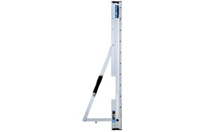 �V��������bShinwa Rules �V���� �����߂�G���A���O�� �V���� 78102