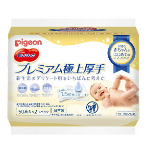 sWbpigeon v~Aɏ 50 2P ibv