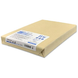 長門屋商店｜NAGATOYA 〔印刷〕抗菌和紙 0.12mm [B5 /250枚] ナ-KW111