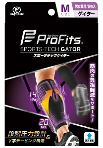 sbvbpip sbv@vEtBbc@X|[cebNQC^[@ӂ͂pM PS289